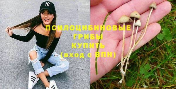 хмурый Абдулино