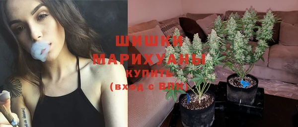 стафф Абаза